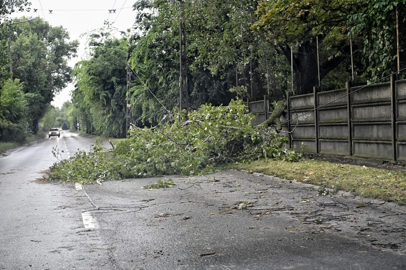 Kidőlt fákat hagyott maga után a több vármegyén átsöprő vihar