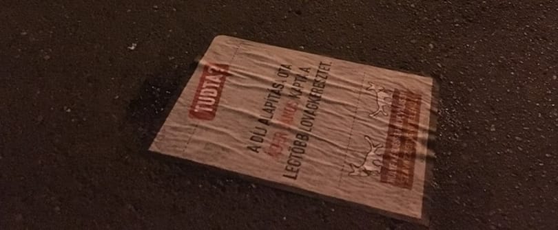A kutyapárt adott még egy sanszot a plakáttépkedőknek a menyétek előtt – fotók