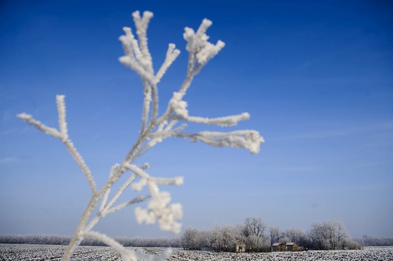 Aki esetleg korai tavaszban reménykedett, elfelejtheti