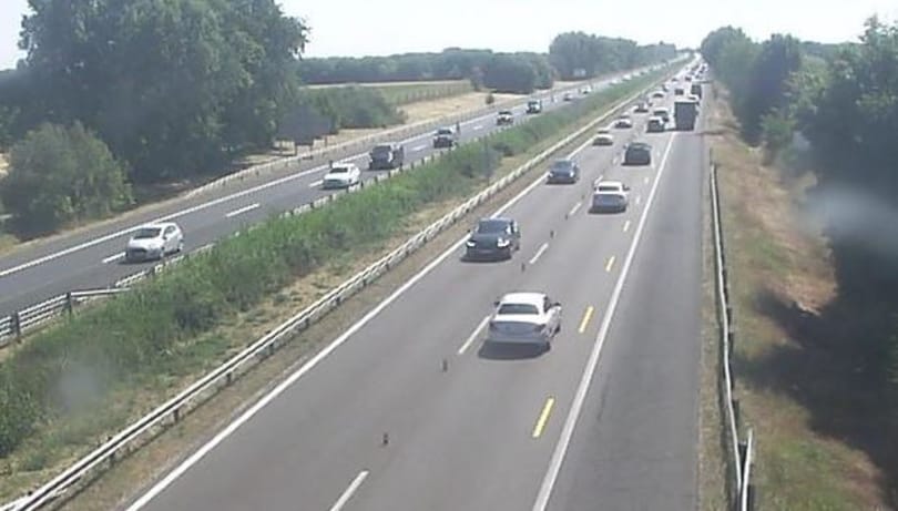 Figyelmeztet a NAV: Éjfélig van még idő részletfizetést kérni a gépjárműadóra