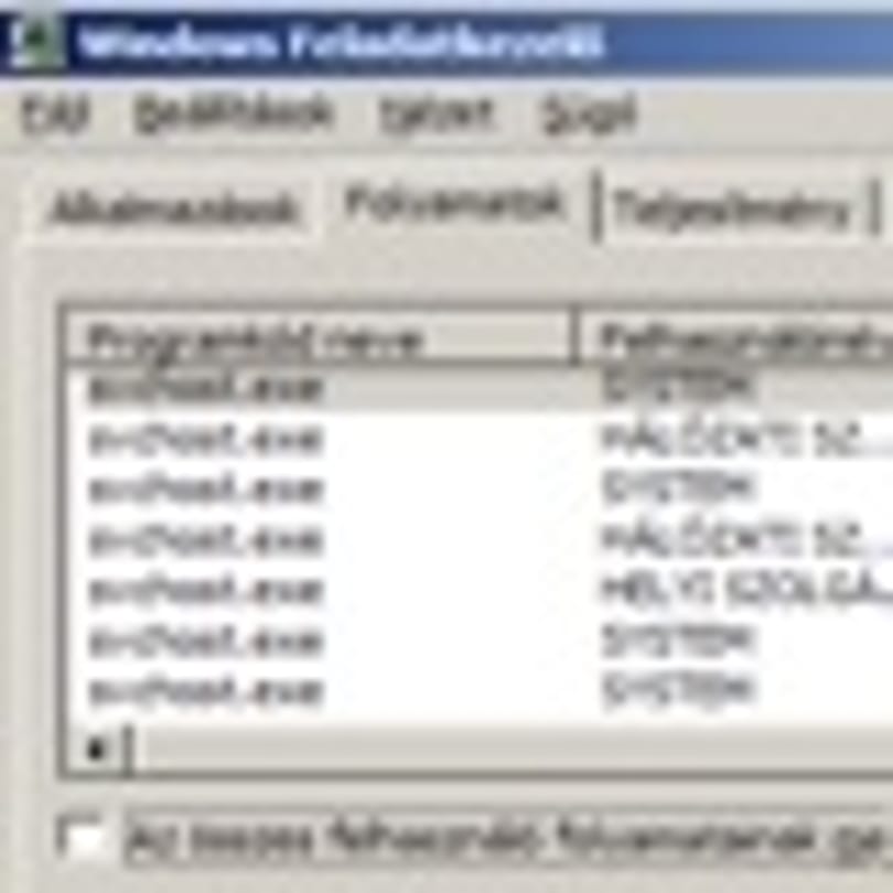 A leleplezett svchost.exe
