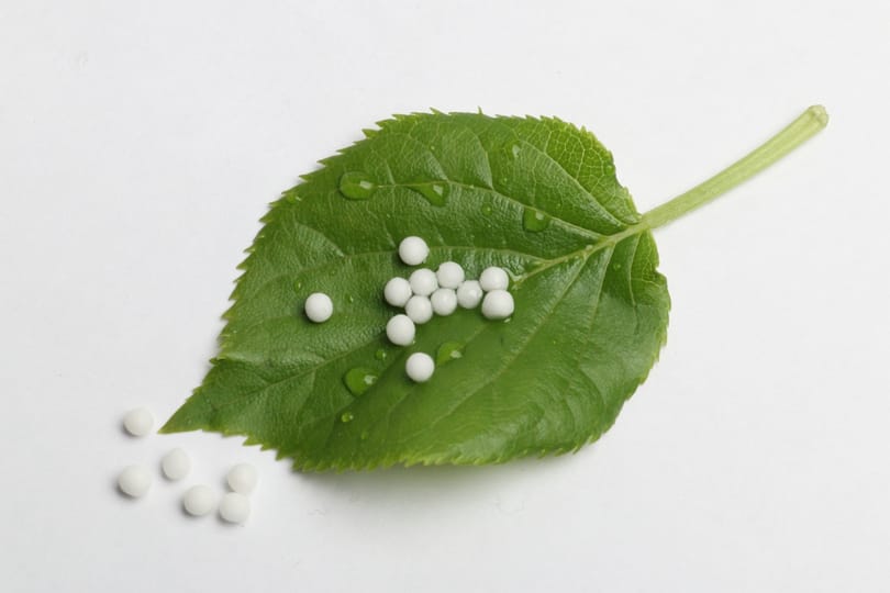 Az MTA beleállt a harcba: kőkemény szigor vár a homeopátiás szerekre