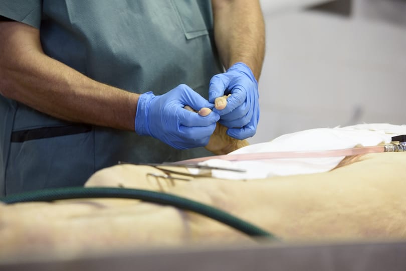 NNK: Kötelező felboncolni, aki az oltást követő egy hónapon belül meghalt
