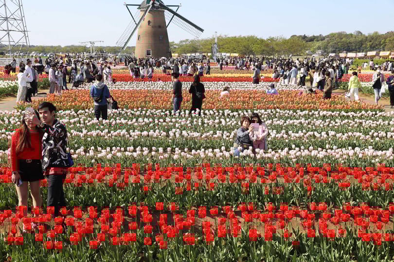 Elpusztított tulipánok, letarolt tengerpart marad az Insta-turisták nyomában