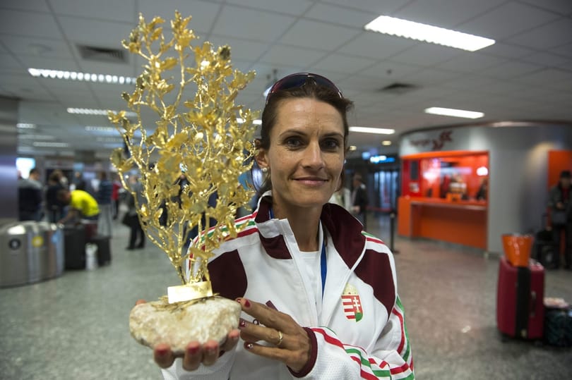 Magyar futónőre támadt egy pingvin az Antarktiszon