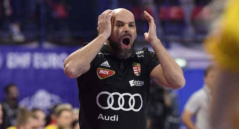 Pert nyert első fokon Kim Rasmussen a Magyar Kézilabda Szövetséggel szemben