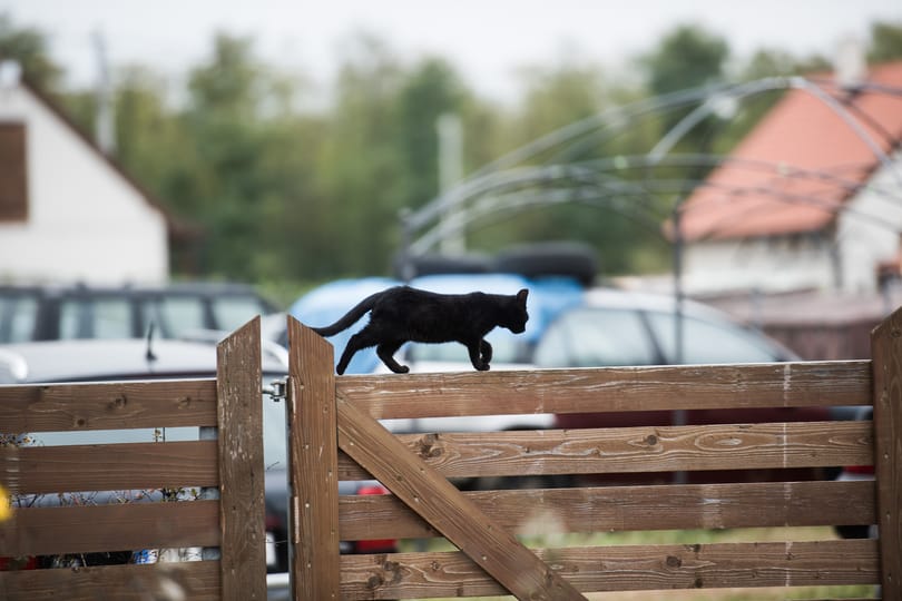 Egyházi szeretetszolgálatoknak ajándékozza az állam a kimentett devizahitelesek lakásait