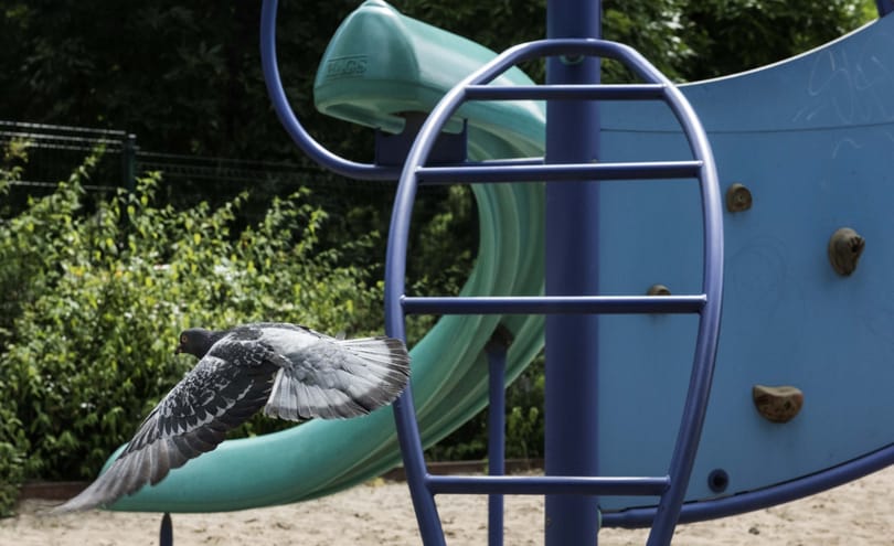 70 éve elraboltak egy kisfiút Kaliforniában, most megtalálták, és már nagypapa