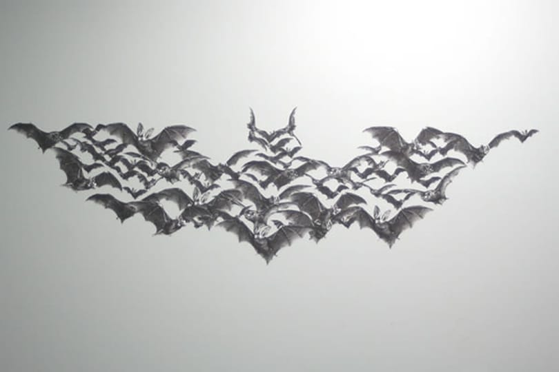 Batman a szobád falán - denevérekből?