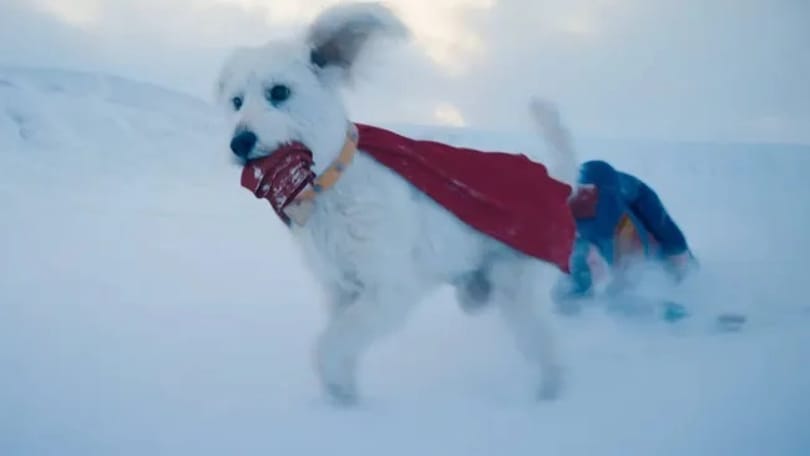 Nézze csak, mi történik, ha beírja a Google keresőjébe, hogy Superman