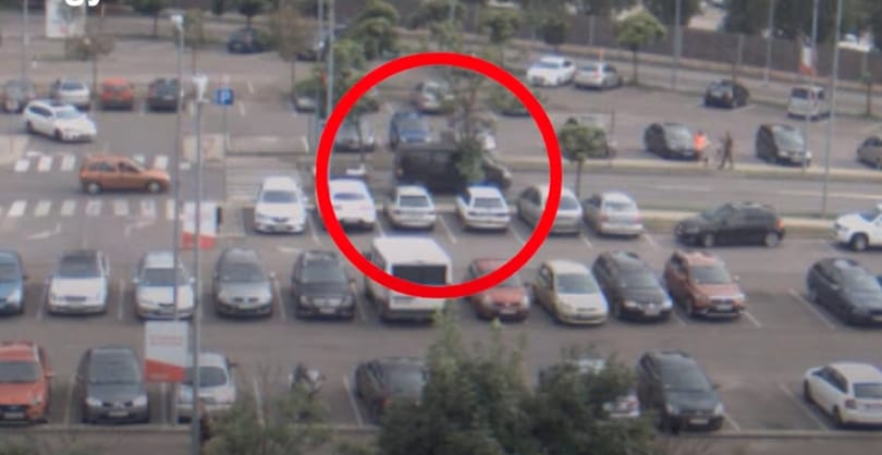 Liszteszsákokban szállított egy férfi kutyakölyköket és egy kecskét, vádat emeltek ellene