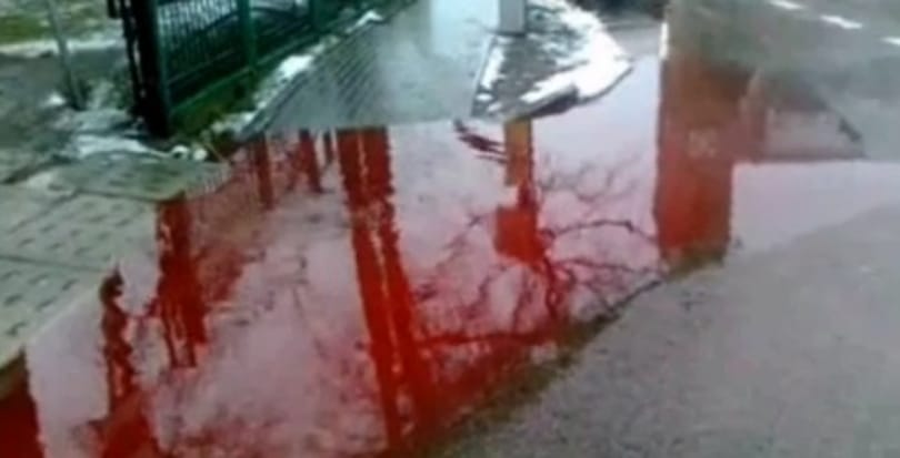 Vérrel árasztotta el a húsüzem a lengyel városkát