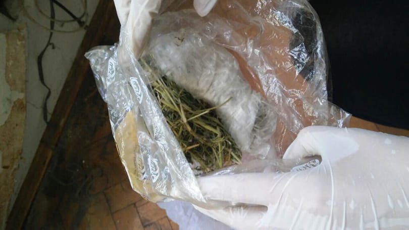 Bűzlik a rendőrség drogvádja a ligetvédők szerint 