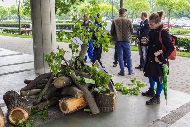 Szinte hihetetlen: nem kivágnak, hanem ültetnek fákat a fővárosban