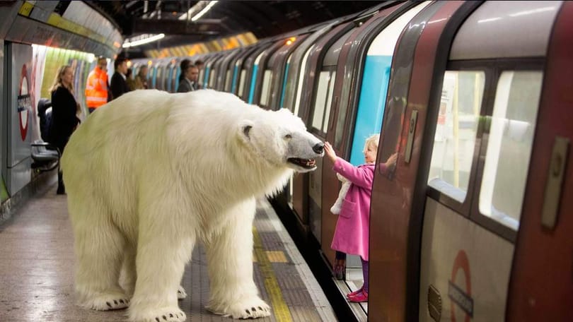 Zseniális marketing: jegesmedve szállta meg a londoni metrót – videó