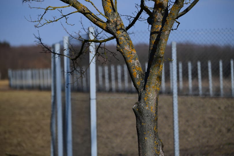 Elbontják a kerítést januártól a horvát-magyar határon