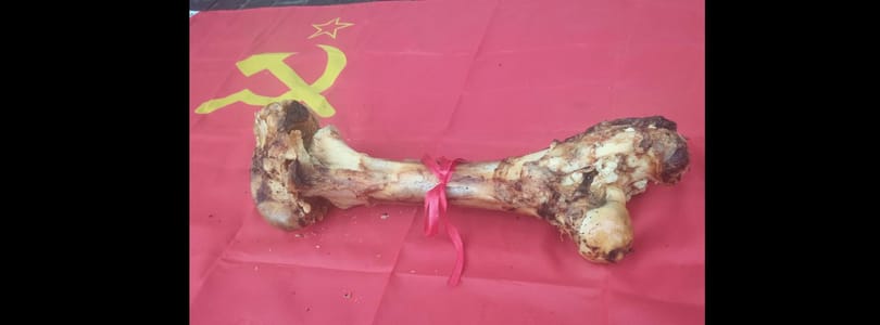 Cupákkal és szovjet zászlóval emlékeztetik Orbán Viktort közéleti aktivisták, hogy nem illik Putyinnal barátkozni