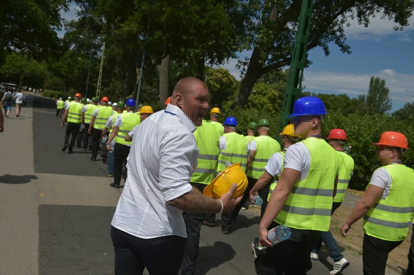 Nem jött össze a hatósági ellenőrzés a ligeti kopaszok cégénél
