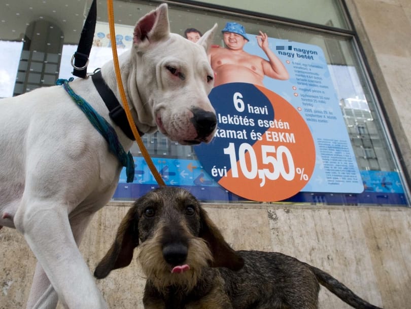 A csökkenő bankadó besegített a K&H-nak