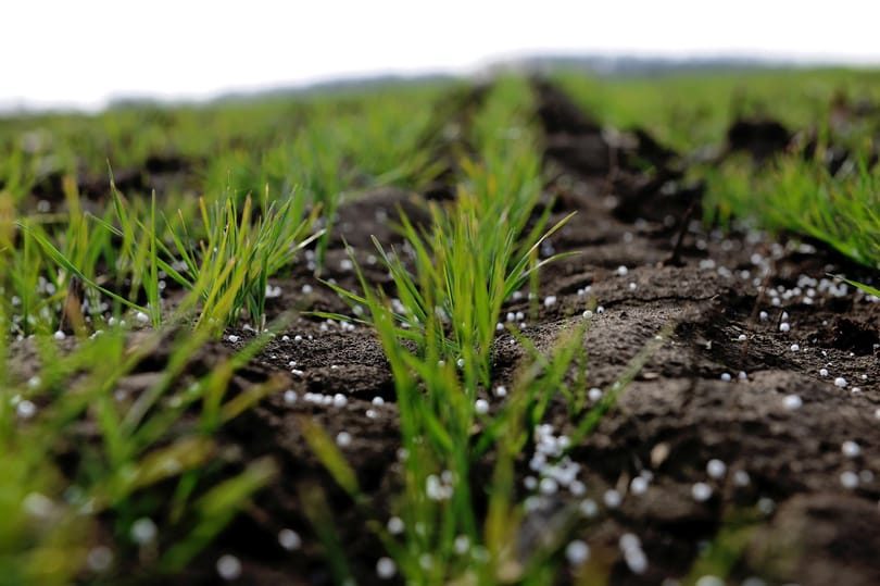 Nekiment Márki-Zay földadójának az Agrárminisztérium