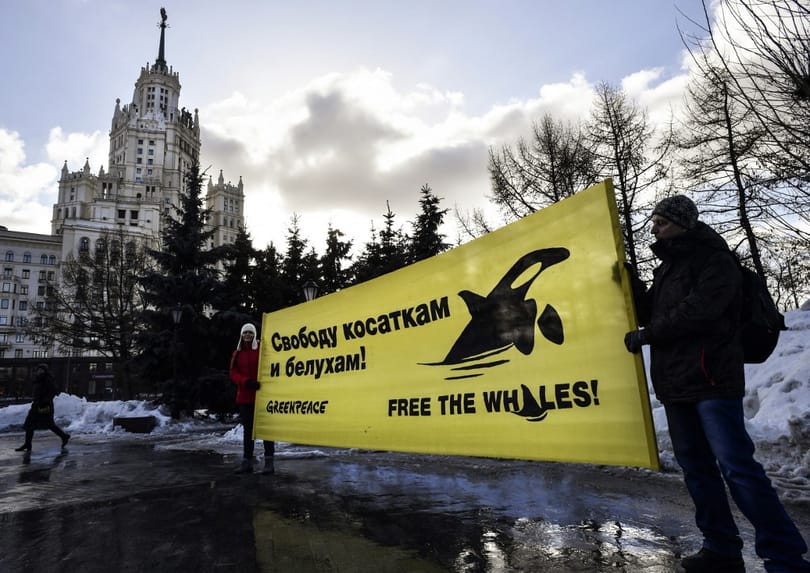 Oroszországban már a Greenpeace is közellenség lett