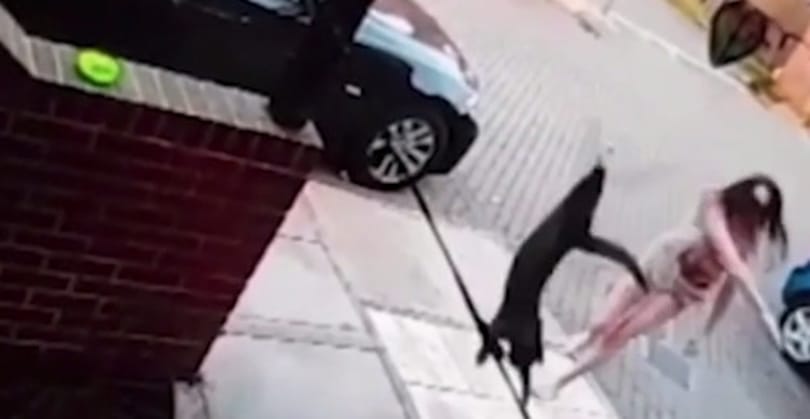 Hozzávágta egy nő a szomszédok ajtajához a macskájukat, a kamera meg felvette