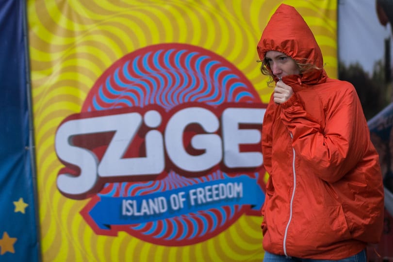 Nagykutyák a Szigeten - nem fellépők, befektetők