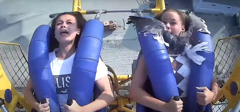 Sirály repült egy tinédzser arcába a vidámparki sikoltozás közben - videó