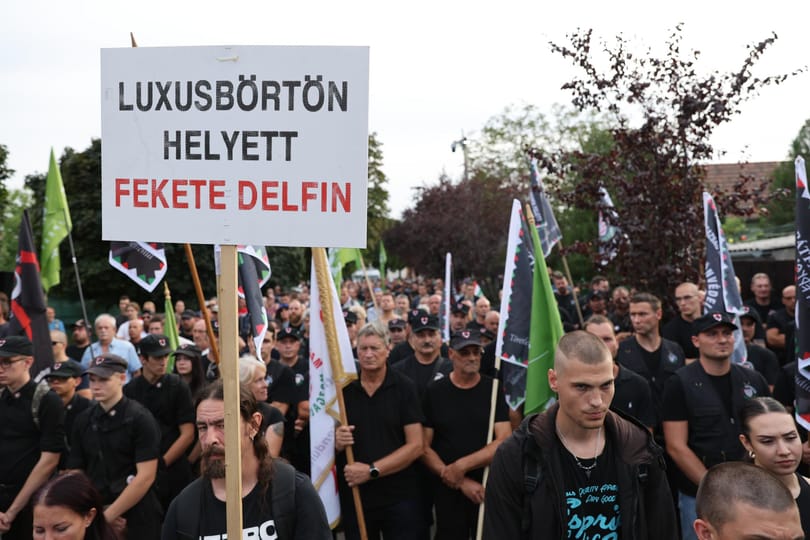 Medián: Kifejezetten magas a fiatalok és a diplomások aránya a Mi Hazánk szavazótáborában