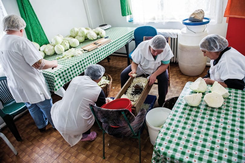 Elhelyezkedési esély nulla? Abszurditások a felnőttképzésben