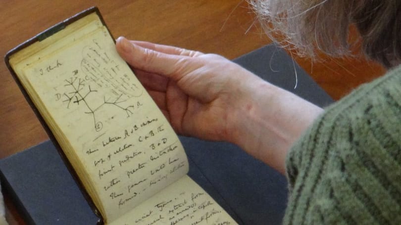 Rekordáron kelhet el Charles Darwin aláírása