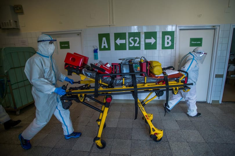 Falus András immunológus: A strandon is maszkot kellene viselni