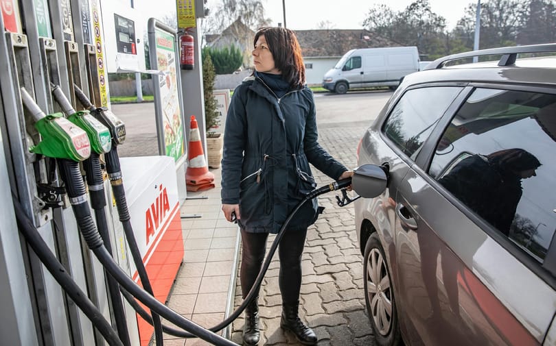 A kiskutak újra kapnak üzemanyagot a Moltól