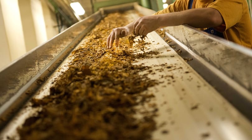 Eljön a nap, amikor a Philip Morris nem gyárt cigarettát, de addig megtömi a zsebét