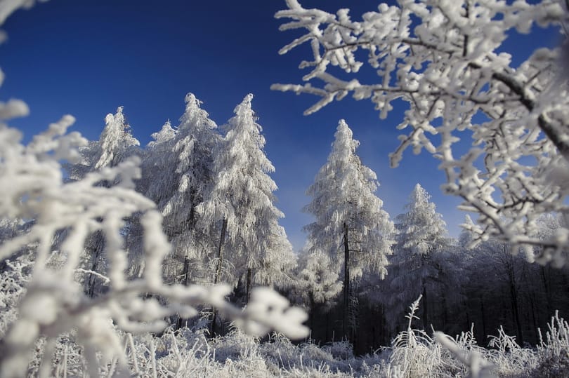 Adventi kalendárium – december 1.