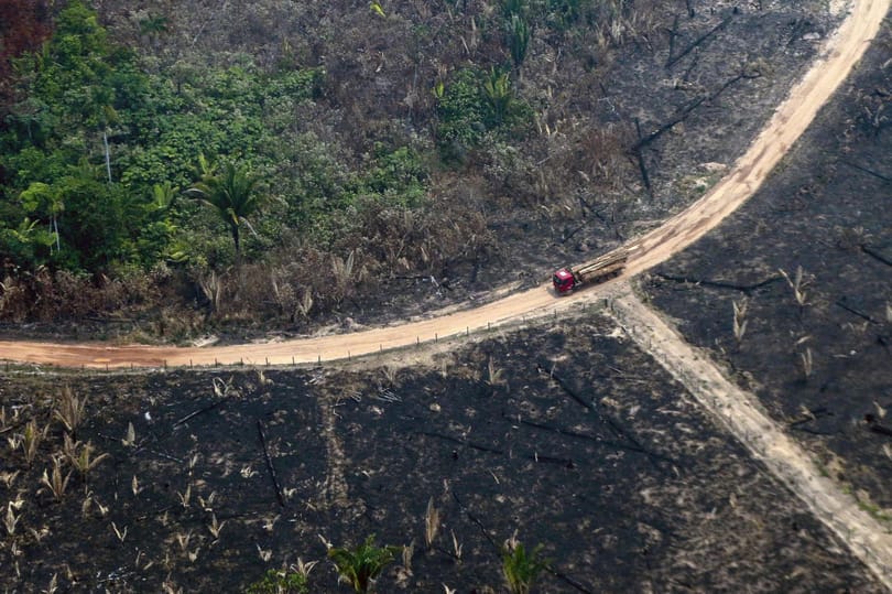 Három élelmiszeripari óriáscéget hoztak kapcsolatba az Amazonas irtásával