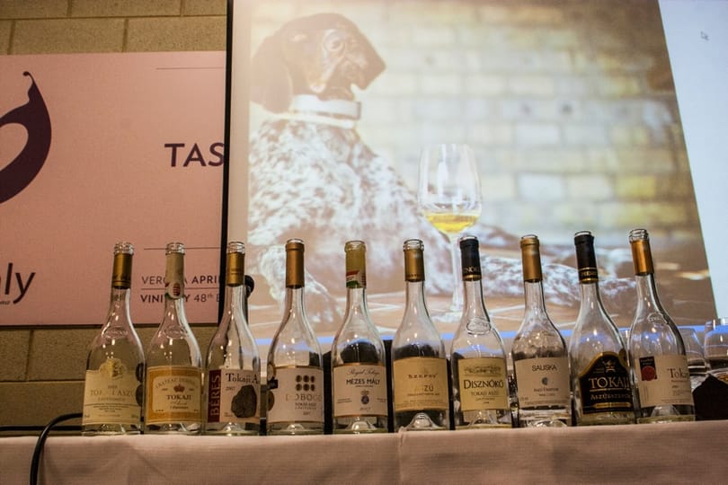 Átvilágíttatják a Tokaji Borvidéket
