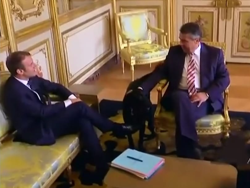 Cuki videón szaladgál a politikusok között Macron még neveletlen kutyája