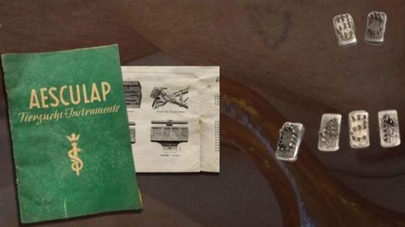 Elárvereznek egy auschwitzi tetoválóeszközt, a Jad Vasem ellenzi az aukciót