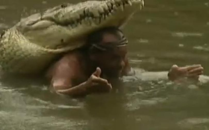 Videó: a krokodil az ember legjobb barátja