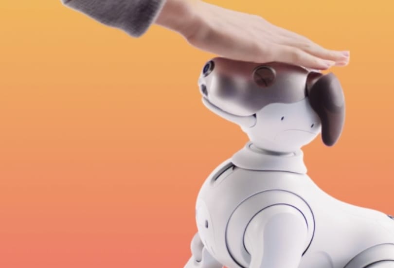 A járvány miatt bezárkózó japánok robotokat kapnak, hogy ne legyenek egyedül