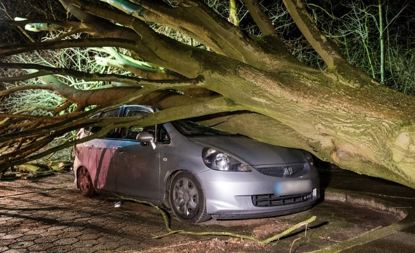 106 km/órás széllel érkezett meg a Ciara ciklon – jobb, ha ön is felkészül