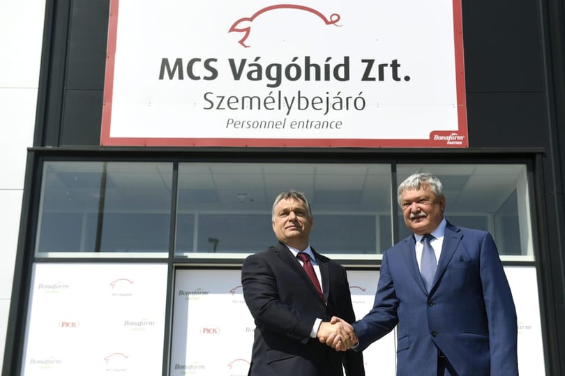 Csányi mohácsi vágóhídja az új hídfőállás a nagy magyar húsháborúban