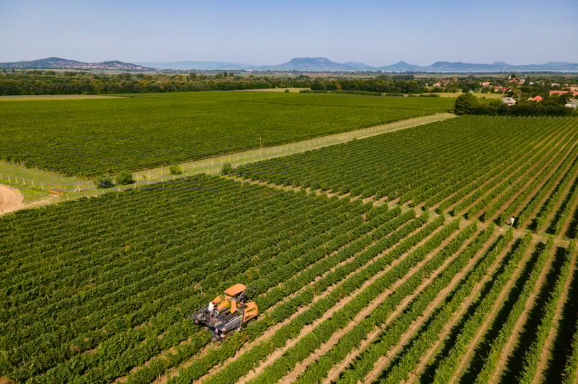 Az EU-s agrártámogatásokat is a jogállamisághoz kötnék a svédek és a dánok