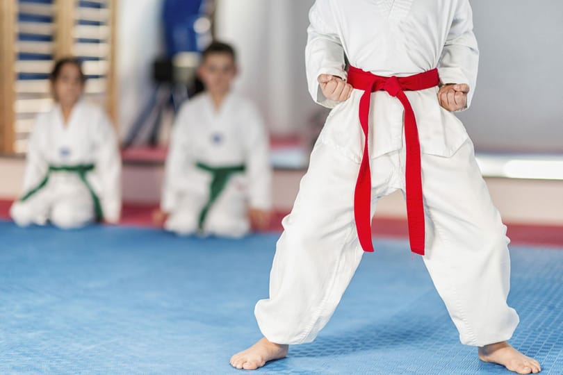 Fél évig nem dolgozhat korosztályos sportolókkal a MTK karateedzője, aki pofon vágta egy tanítványát