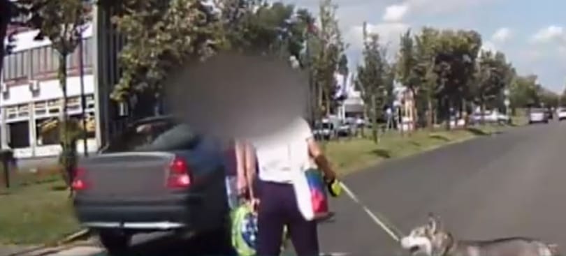 Naponta 2-3 embert gázolnak el zebrán. Ez az egyik legtipikusabb, miért – videó