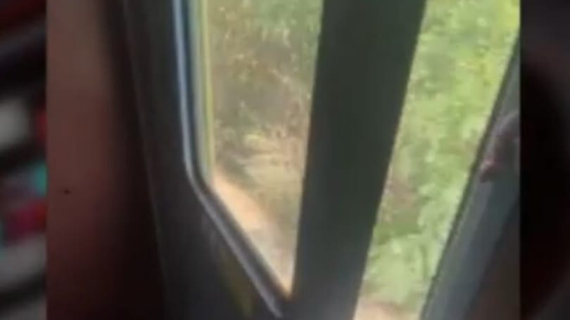 Nyitott ajtóval közlekedett egy vonat Kőbánya-Kispest és Dabas között – videó
