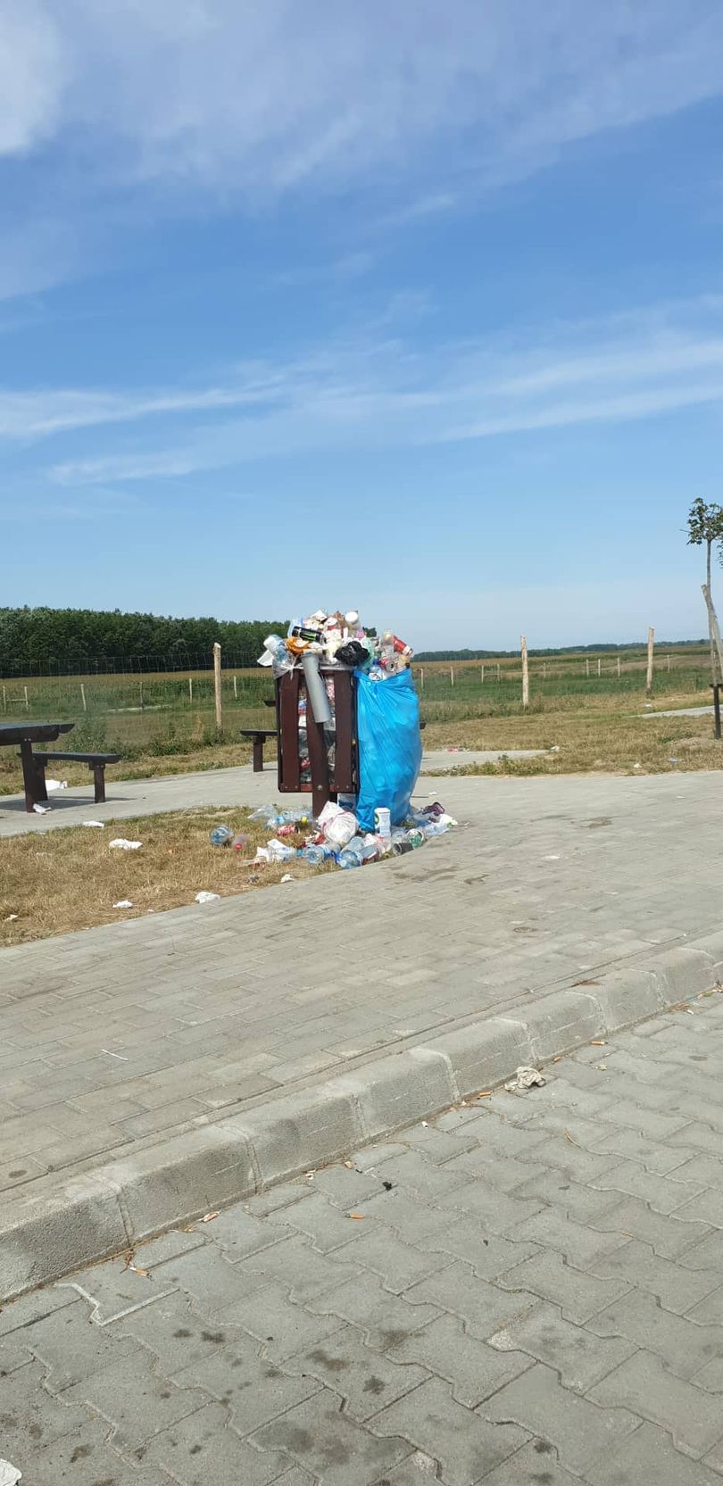 Csordultig telt kukák már hétfő délelőtt az M5-ös pihenőjében. Hova rakjuk a szemetet?