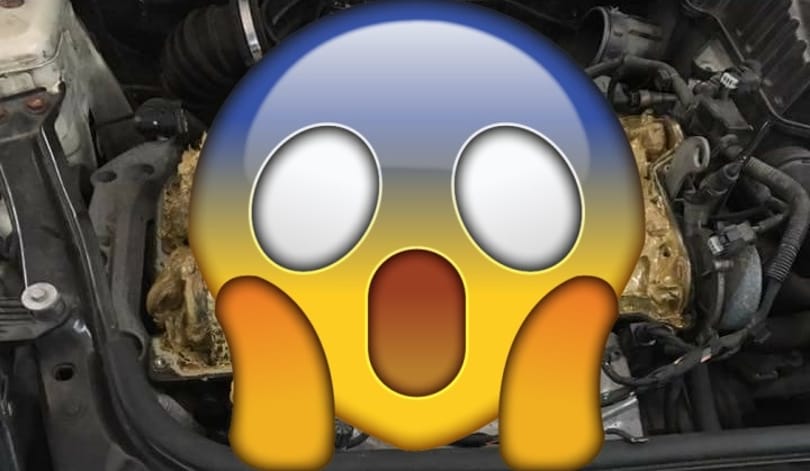 Ez történik, ha szélvédőmosót önt valaki a motorolaj helyére