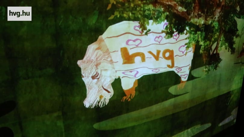 Videó: 3D-ben kelt életre a hvg rajzolt vízilova